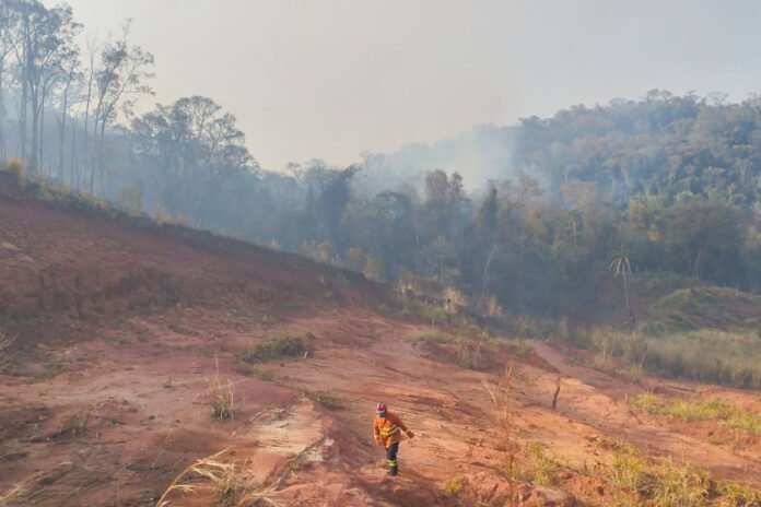 Com volta do calor, Bombeiros reforçam alerta de combate a incêndios florestais